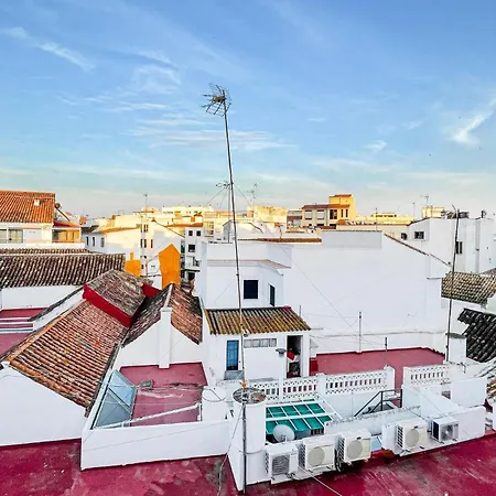 1 Bedroom In شقة
